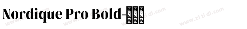 Nordique Pro Bold字体转换
